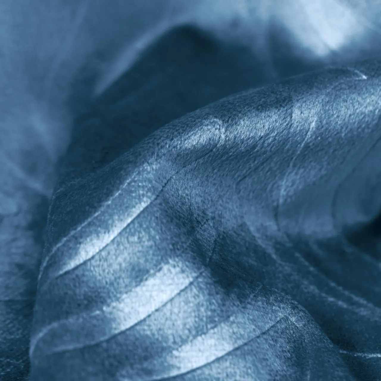 Coussin Et Housse|EMINZA Coussin carré velours (60 x 60 cm) Fern Bleu marine