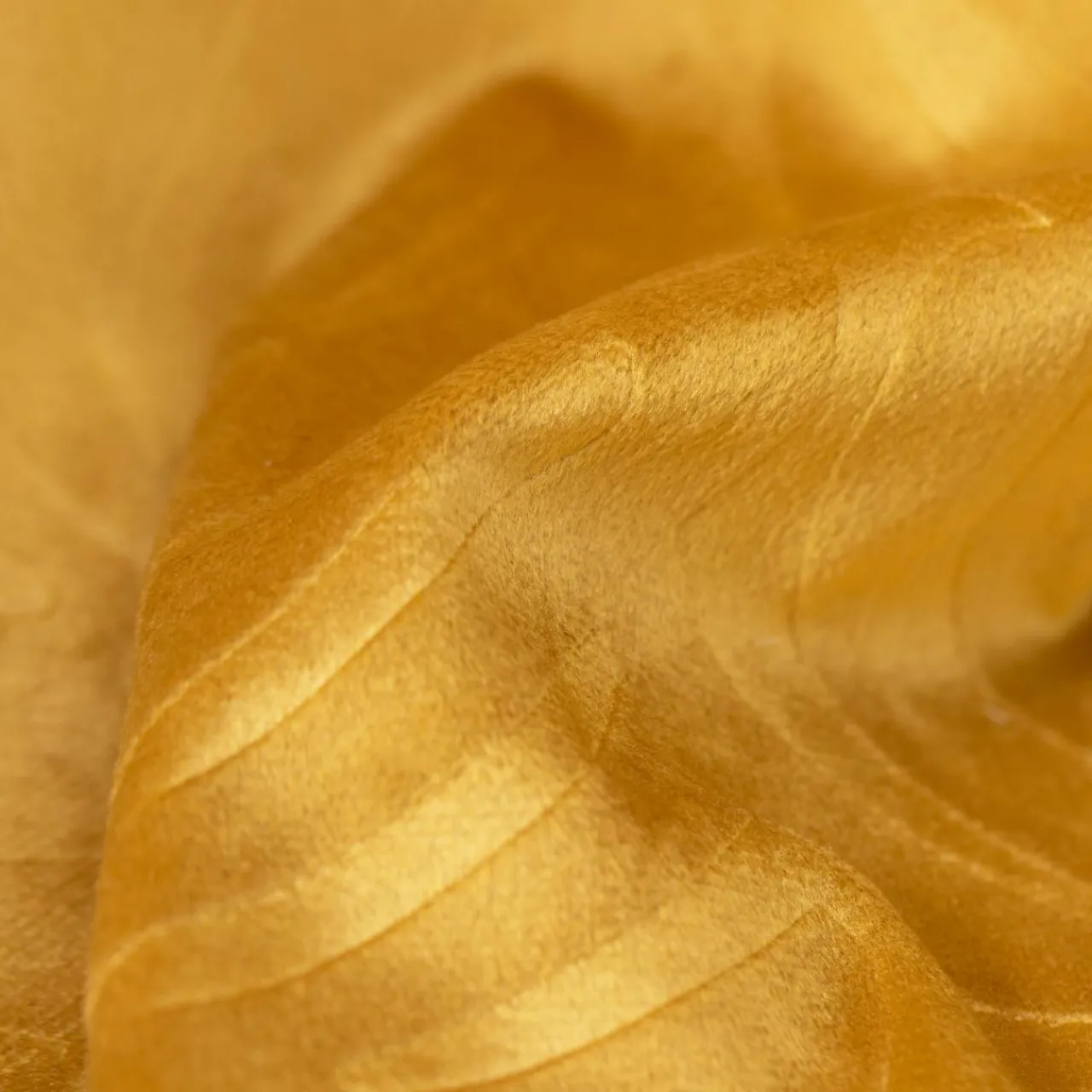 Coussin Et Housse|EMINZA Coussin carré velours (60 x 60 cm) Fern Jaune ocre