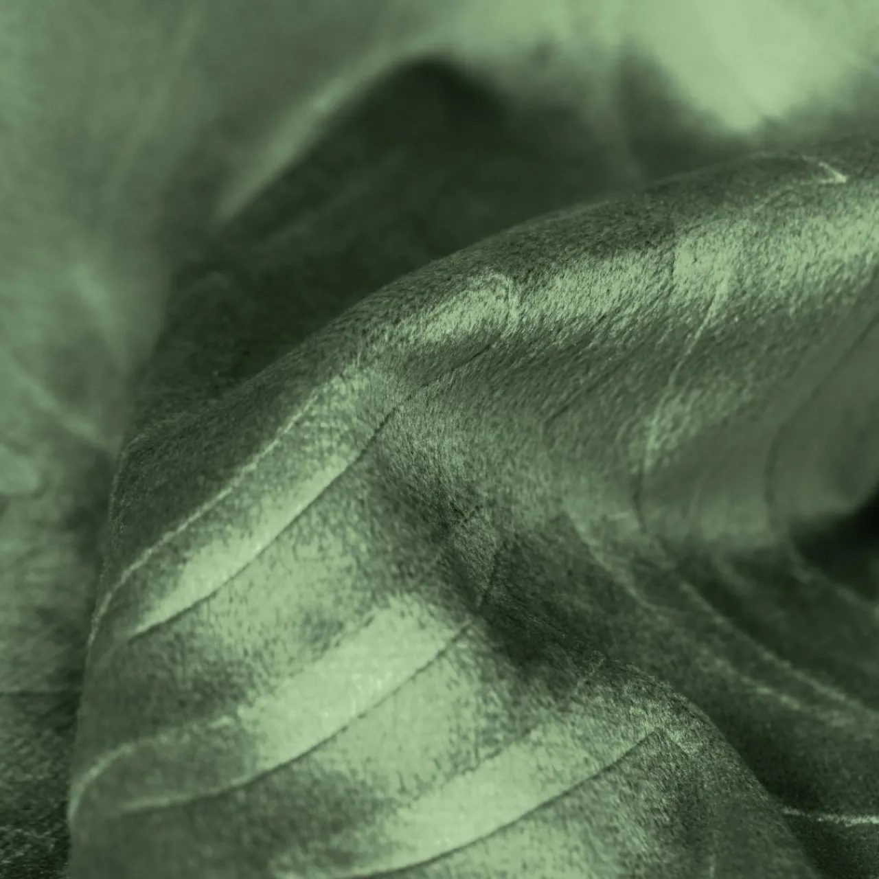 Coussin Et Housse|EMINZA Coussin carré velours (60 x 60 cm) Fern Vert romarin