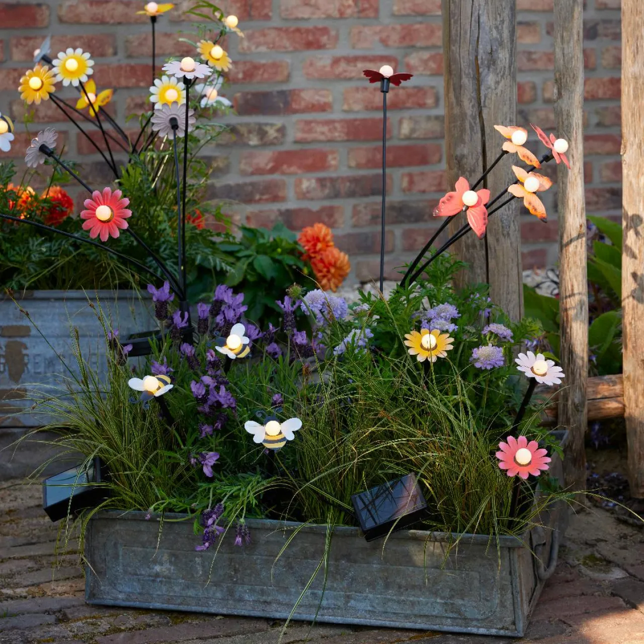 Luminaire Jardin|Eclairage Extérieur|KAEMINGK Décoration lumineuse Solaire à piquer au sol (H60 cm) Marguerites et blanc chaud Jaune