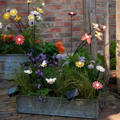 Luminaire Jardin|Eclairage Extérieur|KAEMINGK Décoration lumineuse Solaire à piquer au sol (H60 cm) Marguerites et blanc chaud Rouge