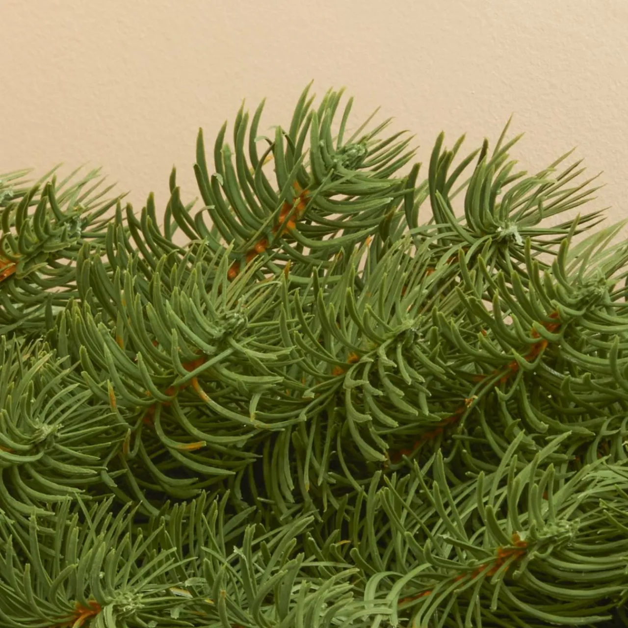 Sapin Grande Taille|Guirlande En Sapin Artificiel|EMINZA Guirlande de sapin (180 cm - D25) Utah Luxe Vert sapin Sapin vert