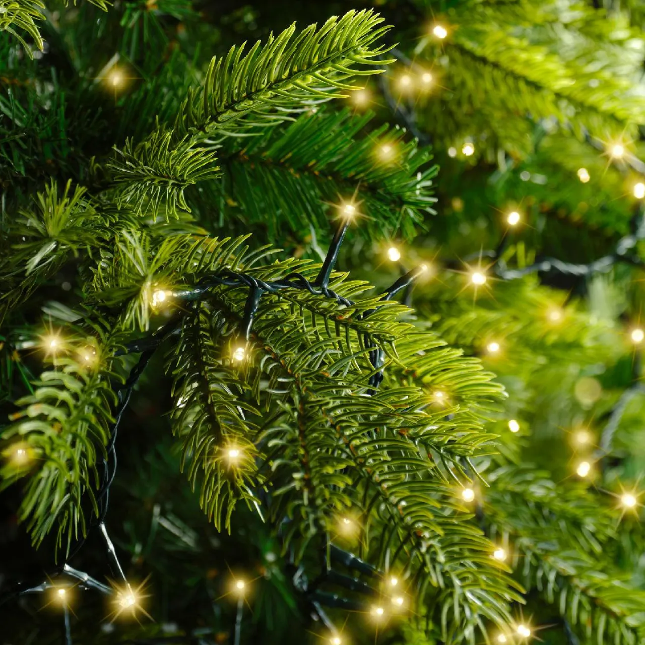 Guirlande Lumineuse|KAEMINGK Guirlande lumineuse 16 m 750 LED câble vert Luxe Blanc chaud Champagne Blanc chaud Champagne - câble vert