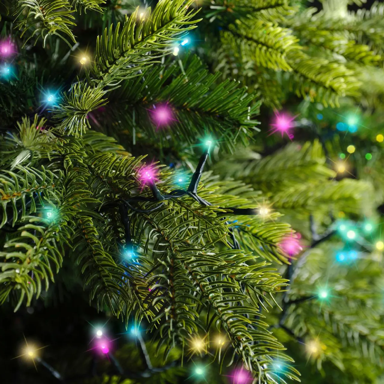 Guirlande Lumineuse Grand Format|Guirlande Lumineuse|KAEMINGK Guirlande lumineuse 45 m 2000 LED câble vert Luxe Multicolore pastel Multicolore Pastel Câble Vert