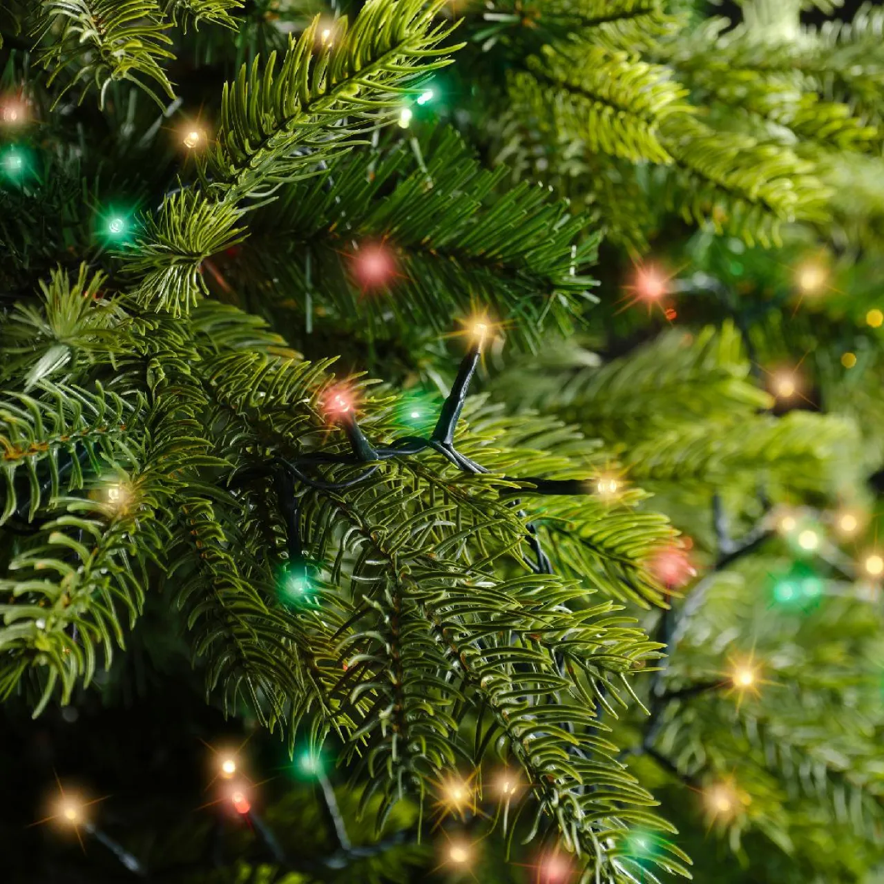 Guirlande Lumineuse Grand Format|Guirlande Lumineuse|KAEMINGK Guirlande lumineuse 22,5 m 1000 LED câble vert Luxe Tricolore Vert/Rouge/Blanc Tricolore Vert Blanc Rouge