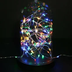 Guirlande Lumineuse|KOOPMAN Guirlande lumineuse à piles 5 m 100 Micro LED Fil d'argent Multicolore