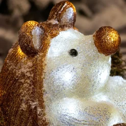 Déco Et Objet Lumineux|EMINZA Hérisson lumineux à piles 30 LED (H24 cm) Twiggy Blanc froid