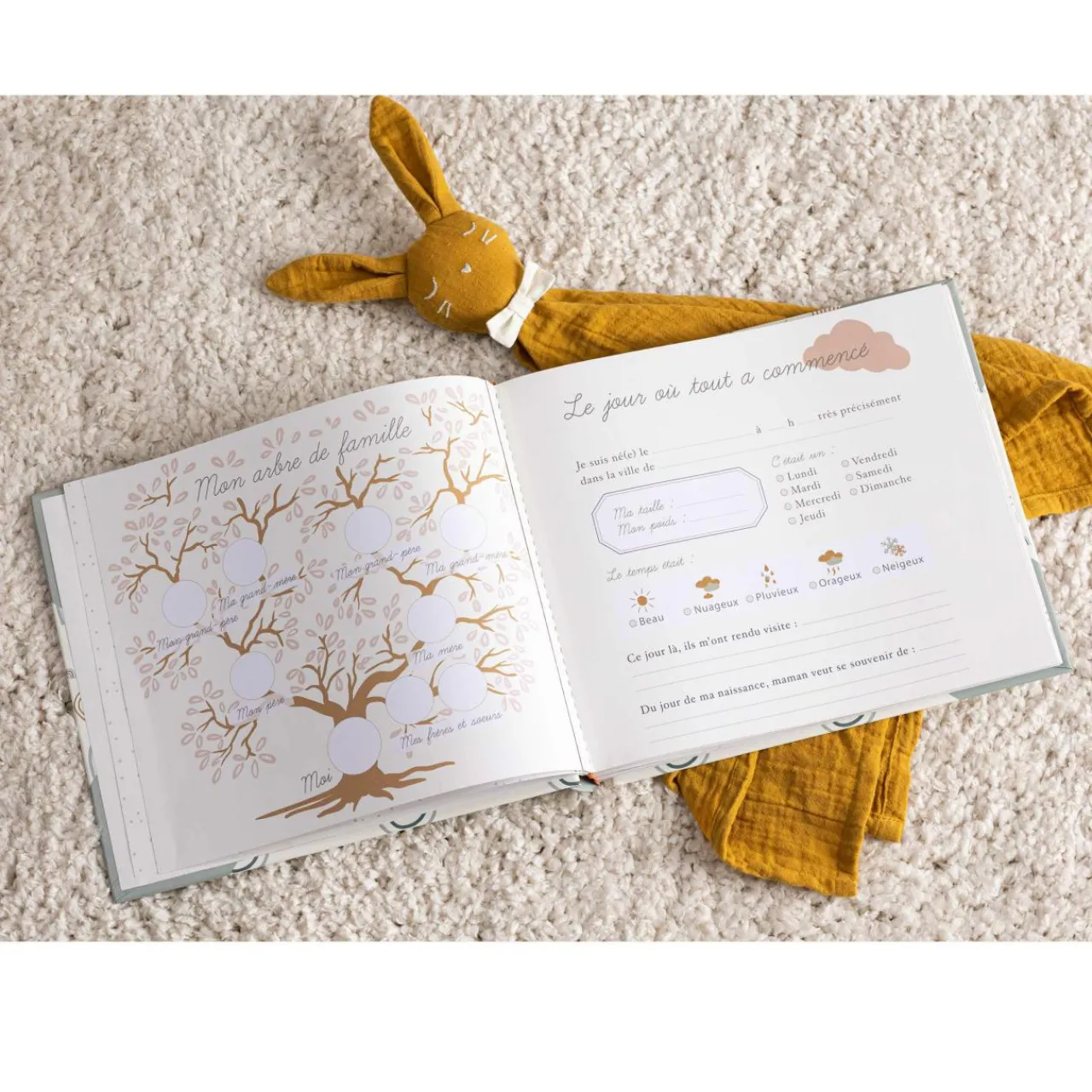 Jouet, Cadeau De Naissance|Atmosphera createur d'interieur for kids Livre de naissance (24 x 27 cm) Arc en ciel Vert