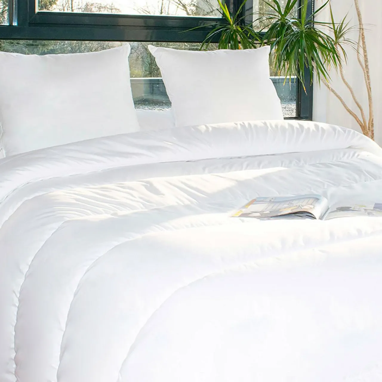 Couette, Oreiller, Traversin|EMINZA Lot Couette chaude anti-acariens (280 x 240 cm) + 2 Oreillers (60 x 60 cm) Comète he Blanc