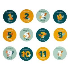 Objet Déco Enfant|OSTARIA Lot de 12 cartes étapes bébé carton (10 cm) Mois Multicolore