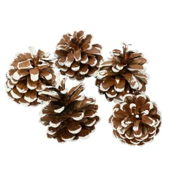 Déco De Table|KAEMINGK Lot de 5 pommes de pin Pinus nigra enneigées Naturel Marron