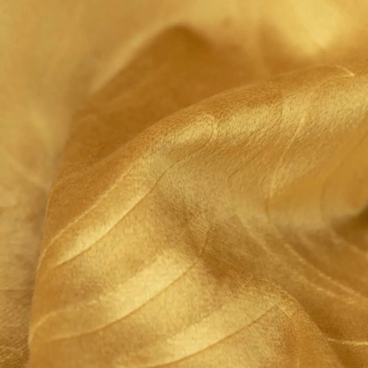 Rideau|EMINZA Rideau obscurcissant velours (140 x 180 cm) Fern Jaune ocre