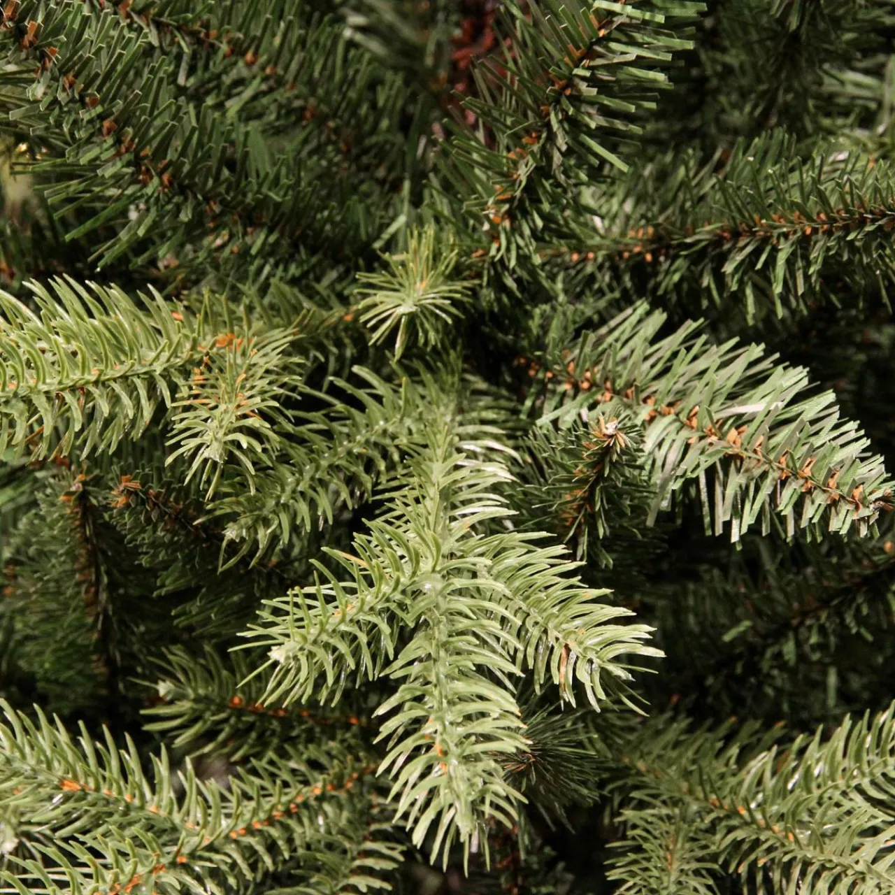 Sapin Grande Taille|Sapin Artificiel De Noël|EMINZA Sapin artificiel de Noël (H300 cm) Allix Vert sapin Sapin vert