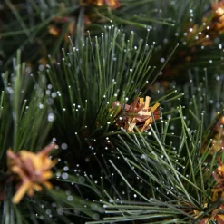 Sapin Grande Taille|Sapin Artificiel De Noël|EMINZA Sapin artificiel de Noël (H210 cm) Stockholm Vert finition perlée Vert givré