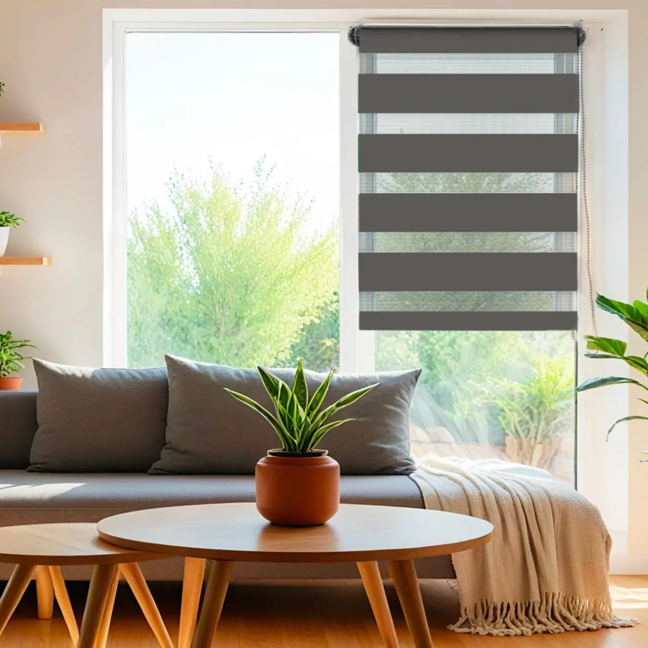 Store|LUANCE Store enrouleur Jour / Nuit (45 x 250 cm) Gris Anthracite