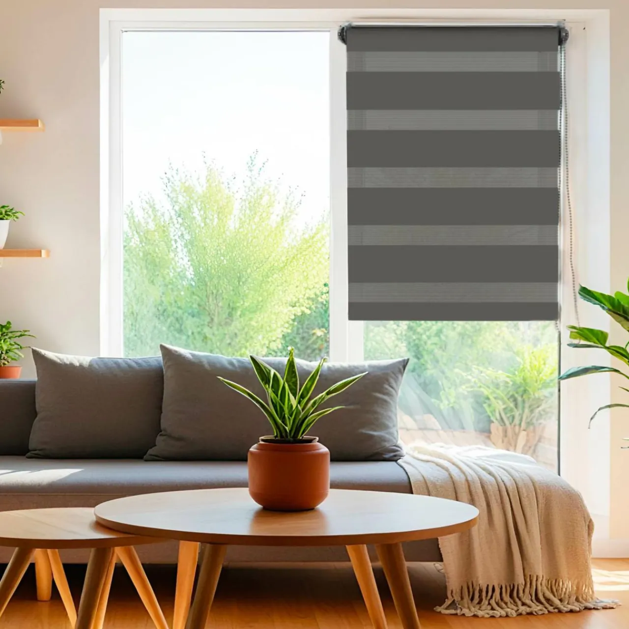 Store|LUANCE Store enrouleur Jour/Nuit (45 x 180 cm) Gris Anthracite