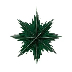 Déco Et Objet De Noël|KAEMINGK Suspension de Noël en papier (D30 cm) Étoile glacée Vert romarin