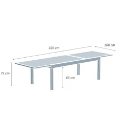 Table De Jardin|Salon De Jardin|MOBELLIA Table de jardin extensible en verre 12 places (200/320 x 100 cm) Murano Gris Anthracite