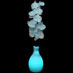 Guirlande Et Déco Lumineuse|Feeric Lights & Christmas Vase orchidée lumineux à piles Multicolore